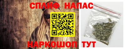 ПСИЛОЦИБИНОВЫЕ ГРИБЫ Бузулук
